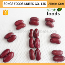 Low price red speckled kidney bean with competitive price